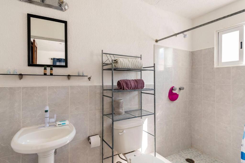 Micro Studio Perfect For Backpackers, Couples, 3 Min Drive To Playa El Nino Cancún Eksteriør billede
